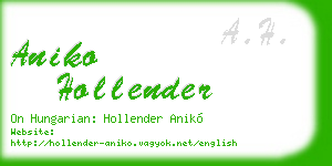 aniko hollender business card